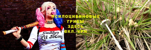дмт Абдулино