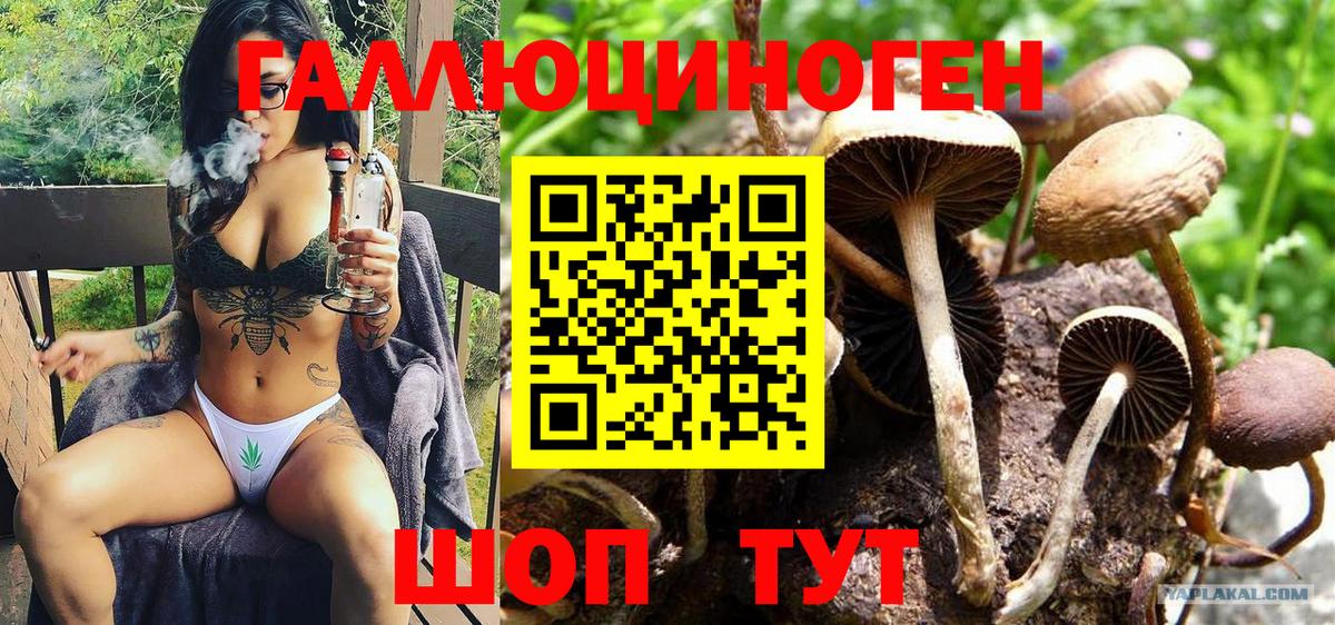 Псилоцибиновые грибы мухоморы Каменск-Уральский
