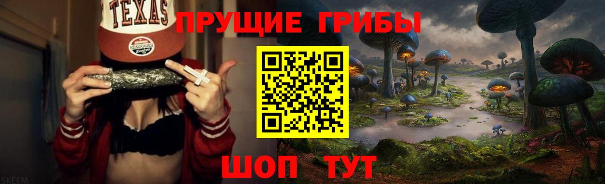 Каменск-Уральский  Псилоцибиновые грибы Psilocybe  Псилоцибиновые грибы мухоморы  Вход с VPN 